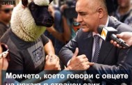 Особен статут!