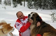 Путин на плажна хавлия с кучето от Бойко за 18 лв. броя