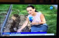 Мария Календерска към Нова ТВ: Как не ви е срам?!