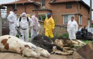Убихте поминъка на хората..!!! Само за това ви бива..!!!