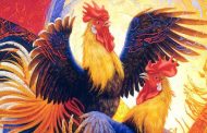 Феноменът Стефка Добрева: С какво се характеризира Годината на червения огнен петел