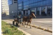 В центъра на София „Велокон алея“