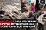 Туинс кредит даде втори шанс на Роузи: Историята на едно спасено куче с щастлив край